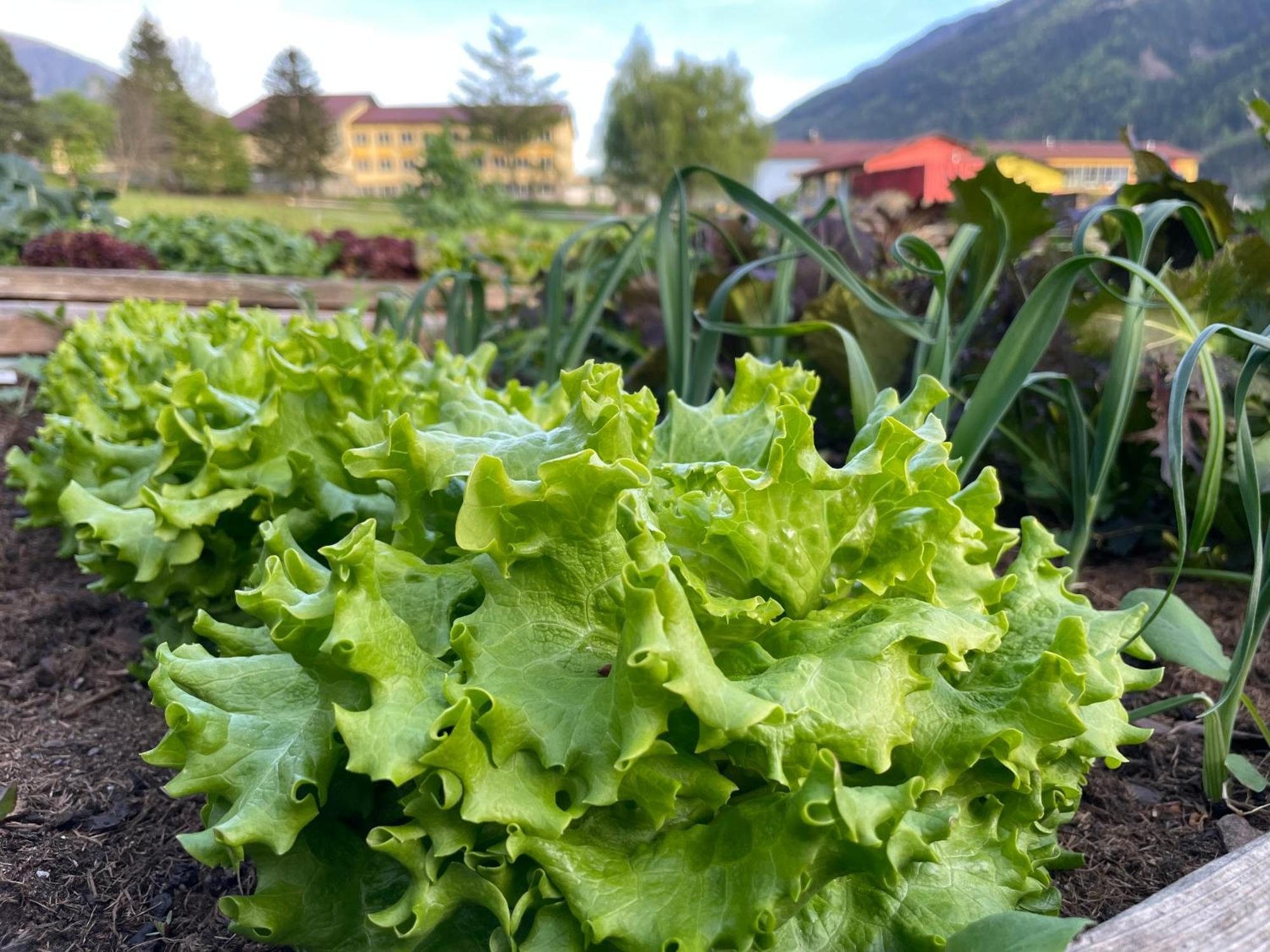 Farm stay Bio-bauernhof Auernig *