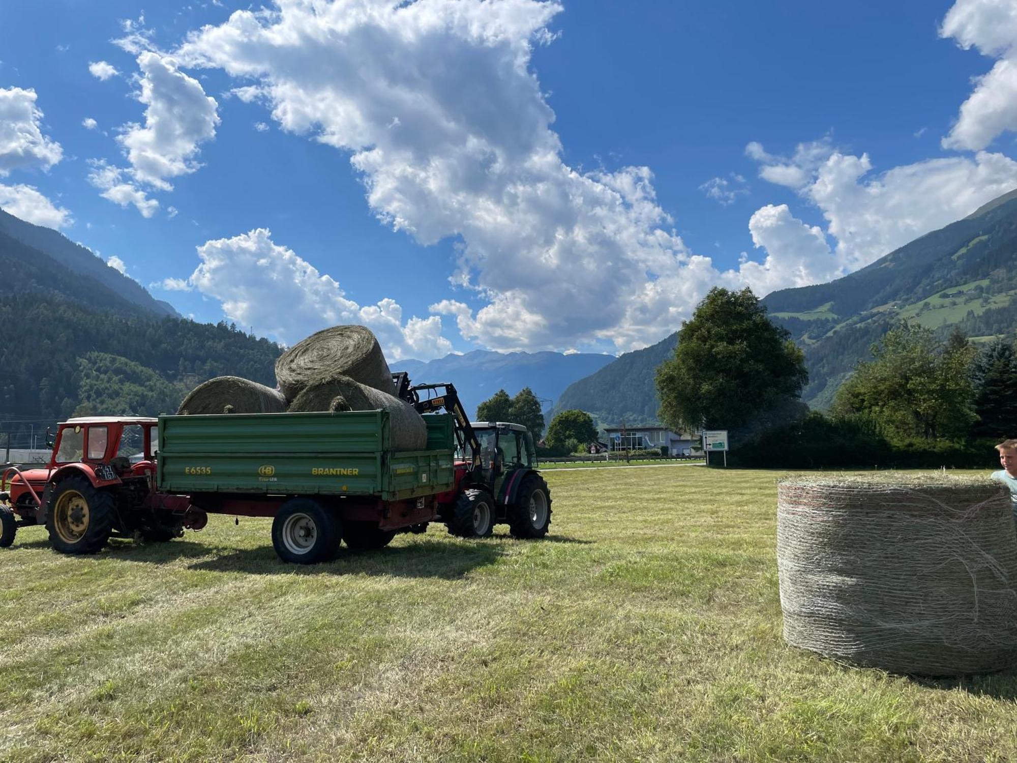 Bio-bauernhof Auernig Obervellach