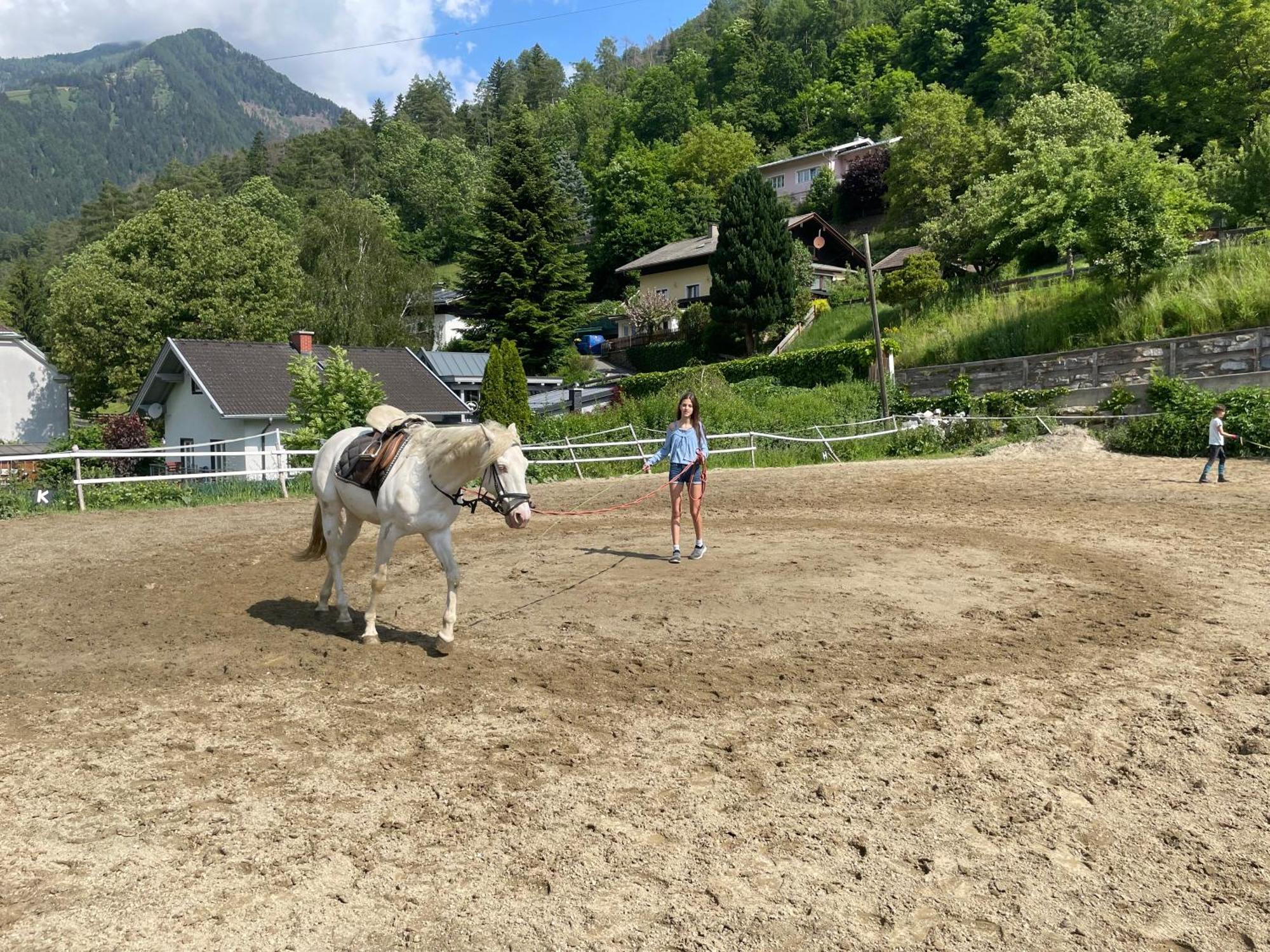 Bio-bauernhof Auernig * Obervellach