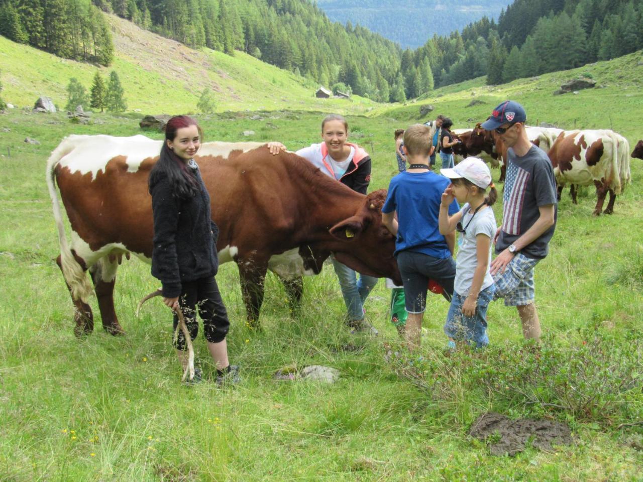Bio-bauernhof Auernig *