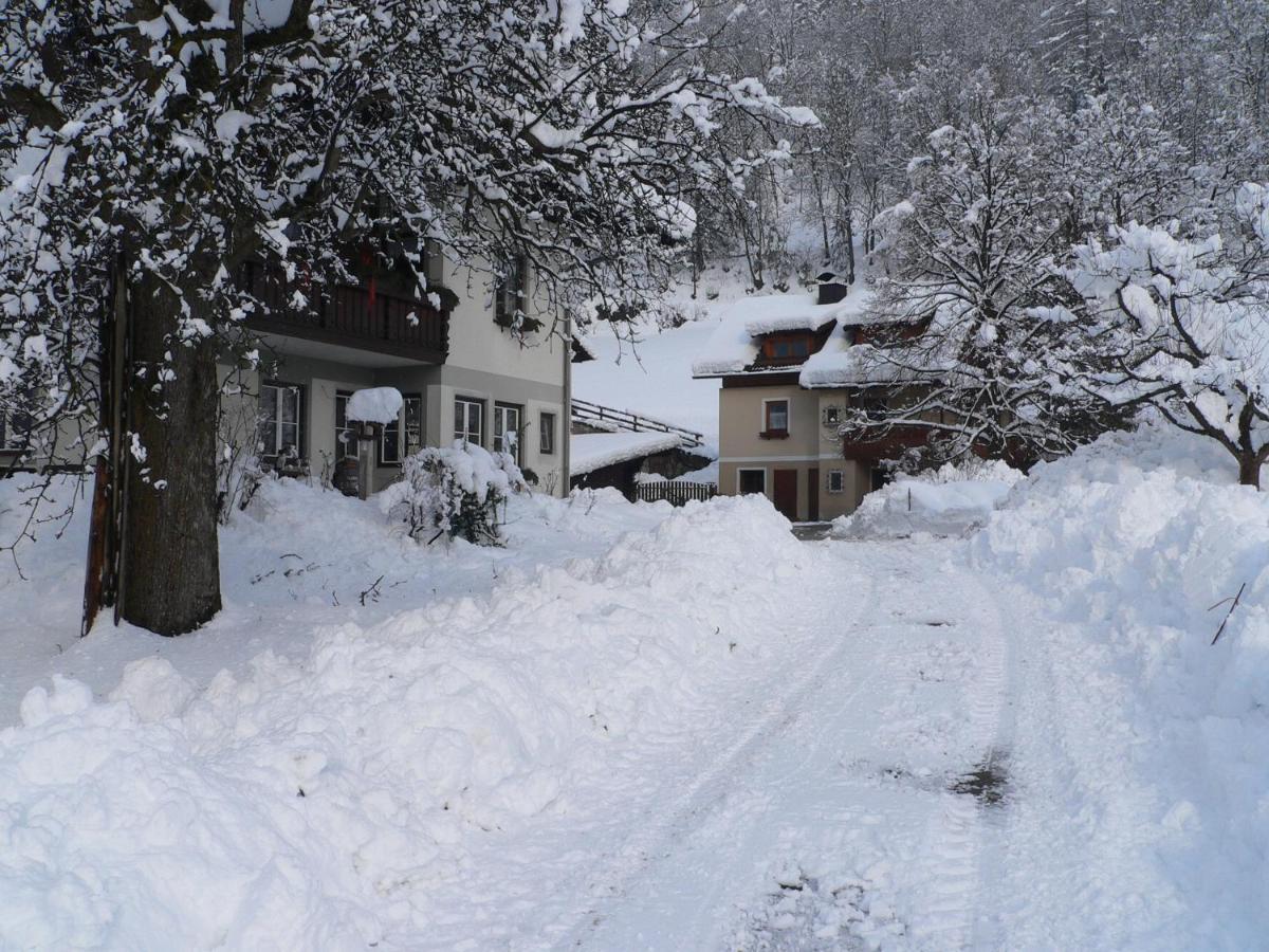 Farm stay Bio-bauernhof Auernig Obervellach
